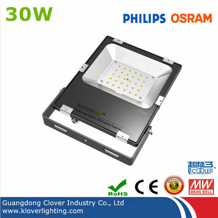 high brightness IP65 30W LED flood lights